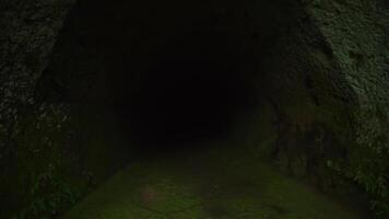 Mysterious dark tunnel entrance with green mossy walls, evoking a sense of adventure and the unknown. Ideal for concepts of exploration, fear video