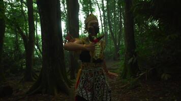 la personne dans traditionnel masque et costume permanent dans une brumeux forêt, évoquant une sens de mystère et culturel patrimoine. video