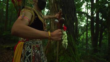 Three musicians wearing traditional outfits playing violins in a lush green forest, surrounded by ancient trees and ferns video