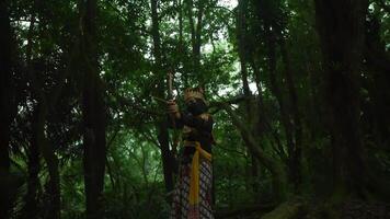 traditionell Bogenschütze im beschwingt Kostüm Zielen mit ein Bogen und Pfeil im ein üppig Grün Wald Einstellung, präsentieren kulturell Erbe video