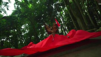 Traditional dancer in vibrant red costume performing in a lush green forest, with spectators watching from the sides. video