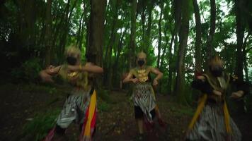 Tres intérpretes en tradicional mascaras y disfraces bailando en un lozano verde bosque, exhibiendo cultural patrimonio video