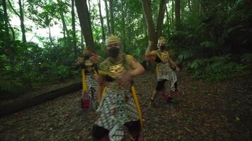 Traditional Balinese dancers in ornate costumes and masks performing in a lush forest setting, showcasing cultural heritage video