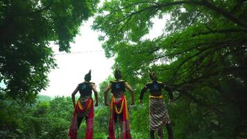 três artistas dentro tradicional javanese fantasias em pé no meio exuberante vegetação, exibindo cultural herança video