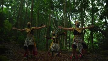 tradicional dançarinos dentro ornamentado fantasias realizando dentro uma exuberante floresta, exibindo cultural herança e artístico expressão video