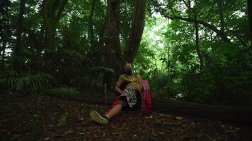 Person in traditional Balinese attire with a mask, sitting under a large tree in a lush green tropical forest video