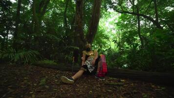 Person in traditional Balinese attire sitting under a large tree in a lush green forest video