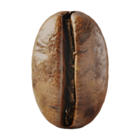 Brown Coffee Bean on Transparent Background png