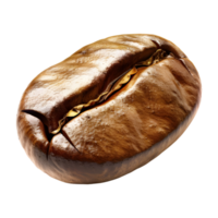 Brown Coffee Bean on Transparent Background png