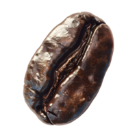 Brown Coffee Bean on Transparent Background png