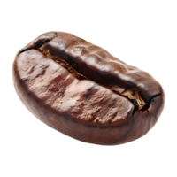 Brown Coffee Bean on Transparent Background png