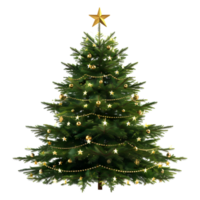 Christmas Tree with Stars, Light, Gift Boxes on Transparent Background png