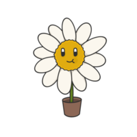 Daisy Flower Cute Illustration png