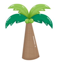 Illustration of coconut palm tree png