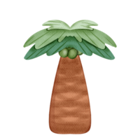 Illustration of coconut palm tree png