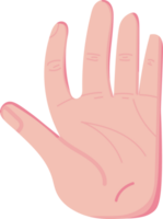 illustration of left palm png