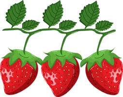 Strawberry. Sweet fruit png