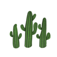 cactus tropicale casa impianti png