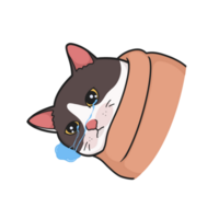 sollozando gato meme linda ilustración png