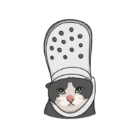 triste gato meme ilustración png