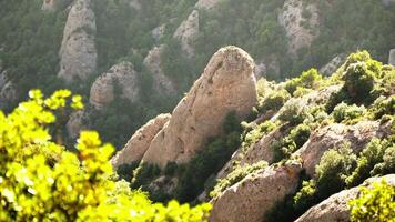 Distant view of rocks and trees video