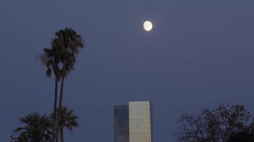 Full moon illuminates tall building video