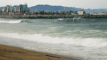 Man riding surfboard on wave in ocean video