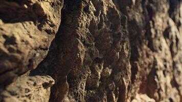 schließen oben von Felsen Mauer video