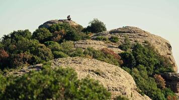 Person sitting on large rock video