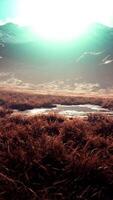 Stones covered with grass and moss under bright sky of Nepal video