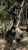 big gun cannon in the forest video