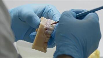 Prosthetic Implant Teeth Are Shaped video