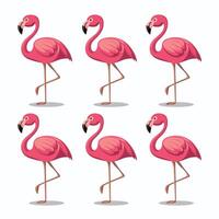 Cartoon Pink flamingo on an isolated white background. vector