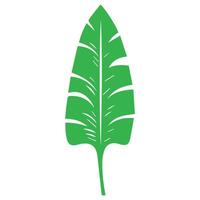 verde hoja icono. hojas icono en aislado antecedentes. colección verde hoja. elementos diseño para natural, ecológico, vegano, bio etiquetas vector