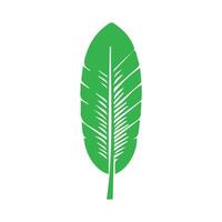 Green leaf icon. Leaves icon on isolated background. Collection green leaf. Elements design for natural, eco, vegan, bio labels vector