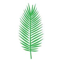 Green leaf icon. Leaves icon on isolated background. Collection green leaf. Elements design for natural, eco, vegan, bio labels vector