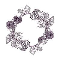 Figs wreath. Twig with leaves and fruits. Illustration in graphic style. Round frame for cards, invitations, food and cosmetic labels, covers, menus, banners, posters. vector