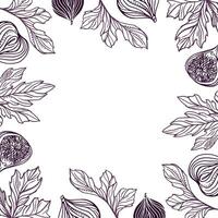 Figs square frame. With space to insert your text. Fruits and leaves. Illustration in graphic style. For cards, invitations, food and cosmetic labels, covers, menus, banners, posters. vector