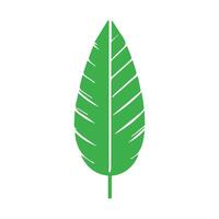 Green leaf. Leaves icon on isolated background. Collection green leaf. Elements design for natural, eco, vegan, bio labels vector