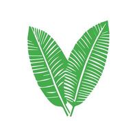 verde hoja. hojas icono en aislado antecedentes. colección verde hoja. elementos diseño para natural, ecológico, vegano, bio etiquetas vector