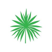 Green leaf icon. Leaves icon on isolated background. Collection green leaf. Elements design for natural, eco, vegan, bio labels vector