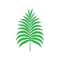 Green leaf icon. Leaves icon on isolated background. Collection green leaf. Elements design for natural, eco, vegan, bio labels vector