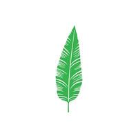 Green leaf icon. Leaves icon on isolated background. Collection green leaf. Elements design for natural, eco, vegan, bio labels vector