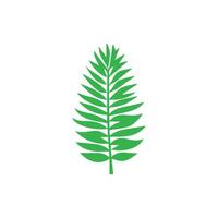 Green leaf icon. Leaves icon on isolated background. Collection green leaf. Elements design for natural, eco, vegan, bio labels vector