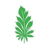 Green leaf. Leaves icon on isolated background. Collection green leaf. Elements design for natural, eco, vegan, bio labels vector