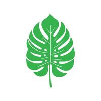verde hoja icono. hojas icono en aislado antecedentes. colección verde hoja. elementos diseño para natural, ecológico, vegano, bio etiquetas vector