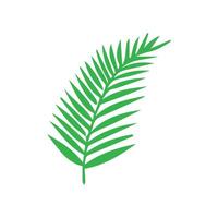 Green leaf icon. Leaves icon on isolated background. Collection green leaf. Elements design for natural, eco, vegan, bio labels vector