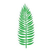 Green leaf icon. Leaves icon on isolated background. Collection green leaf. Elements design for natural, eco, vegan, bio labels vector