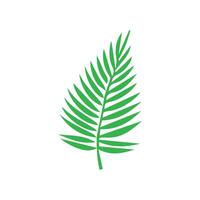 Green leaf icon. Leaves icon on isolated background. Collection green leaf. Elements design for natural, eco, vegan, bio labels vector