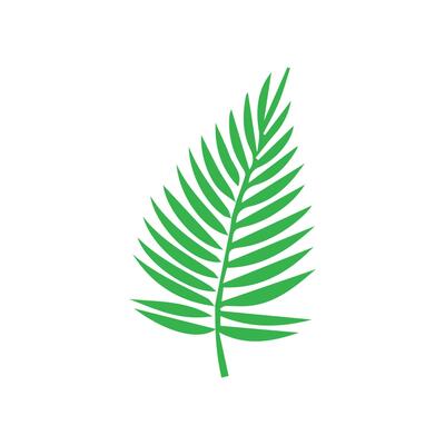 Green leaf icon. Leaves icon on isolated background. Collection green leaf. Elements design for natural, eco, vegan, bio labels